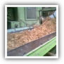 LEAF TOBACCO SHREDDED TOBACCO raw tobacco leaf dark air cured tobacco rustica tobacco FLUE CURED TOBACCO